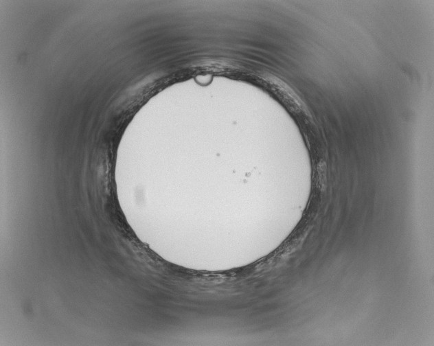 X0000114661111200911171105