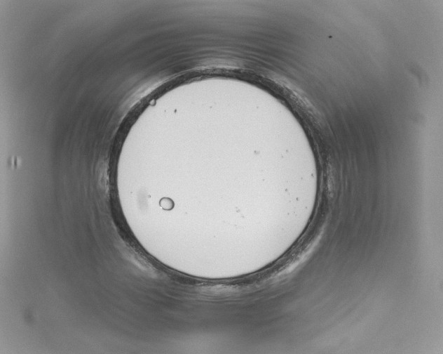 X0000114661113200911171105