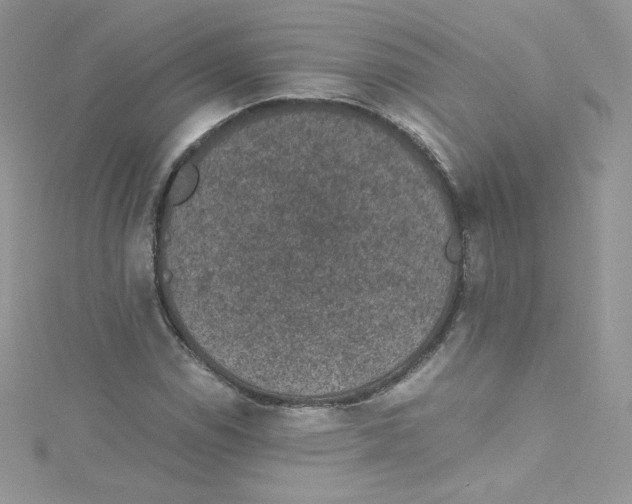 X0000114661114200911171105