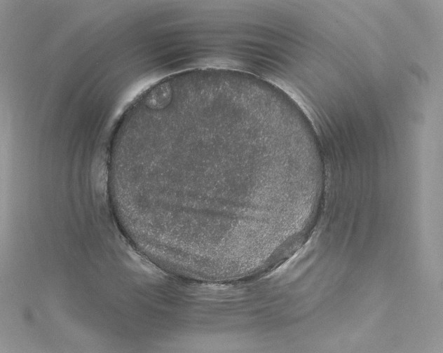 X0000114661115200911171105