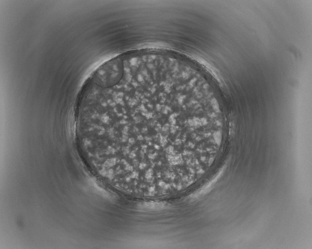 X0000114661117200911171105