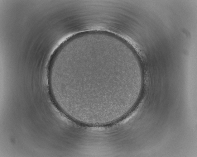 X0000114661118200911171105