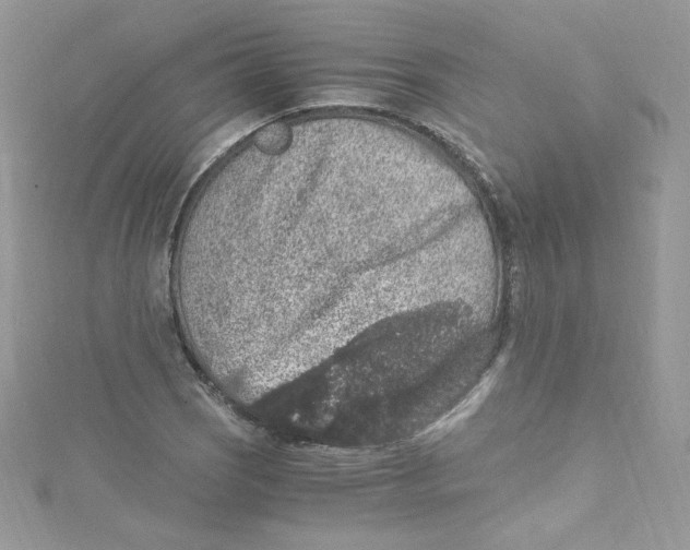 X0000114661121200911171105