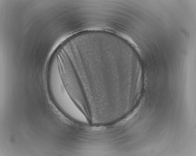 X0000114661122200911171105