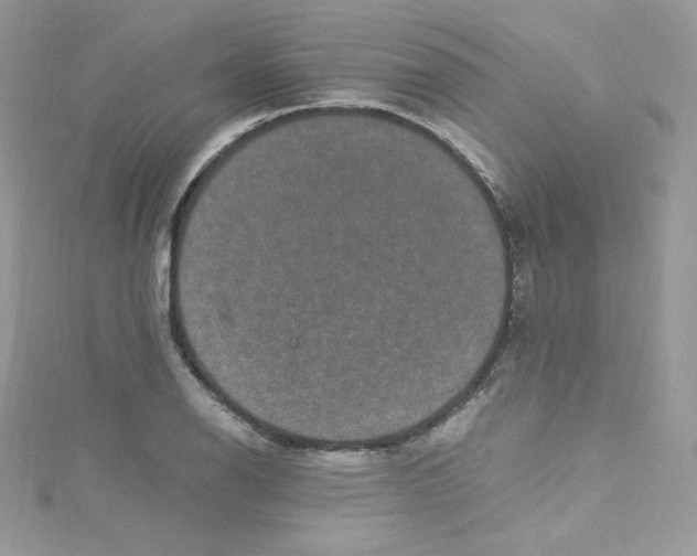 X0000114661126200911171105