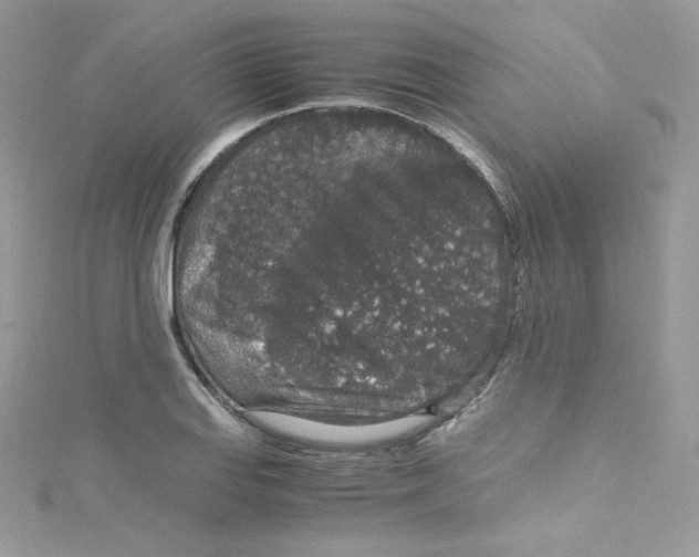 X0000114661127200911171105