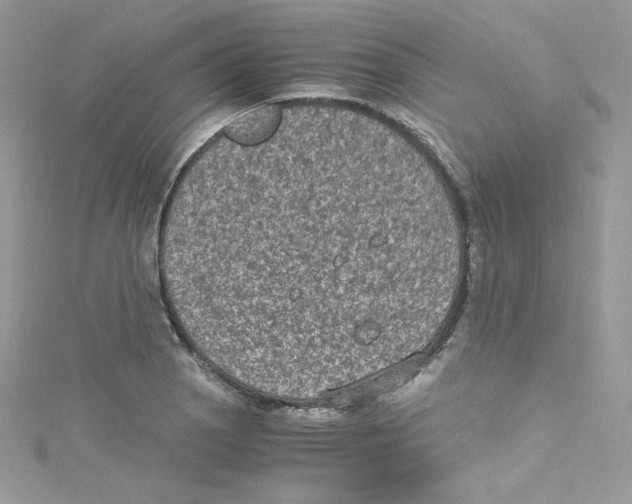 X0000114661129200911171105