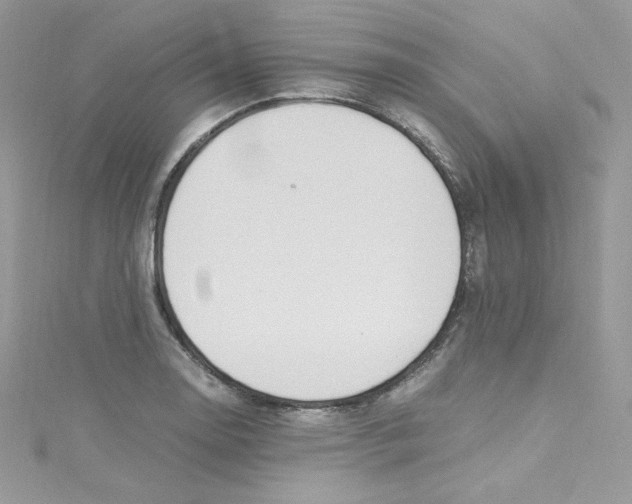 X0000114661130200911171105