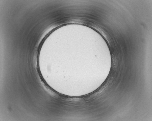 X0000114661131200911171105