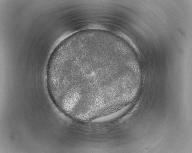 X0000114661133200911171105