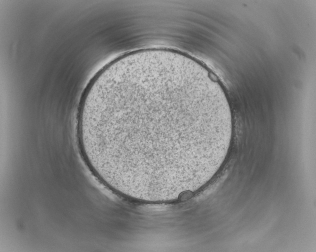 X0000114661134200911171105