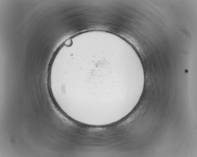 X0000114661135200911171105