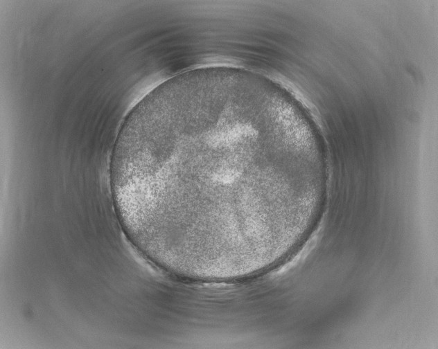 X0000114661137200911171105