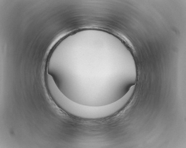 X0000114661138200911171105