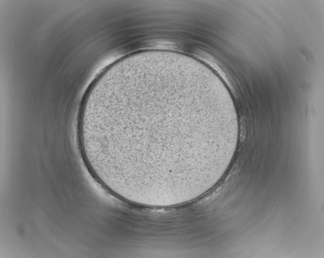 X0000114661139200911171105