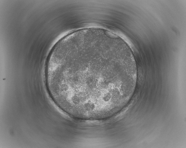 X0000114661142200911171105