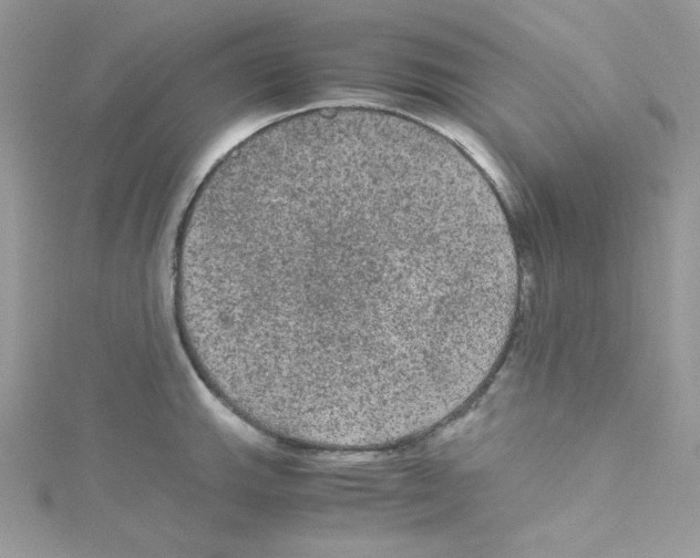 X0000114661143200911171105