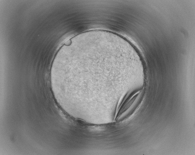 X0000114661145200911171105