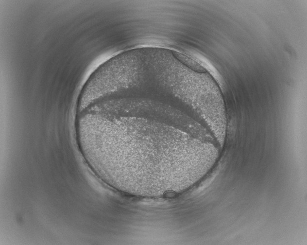 X0000114661146200911171105