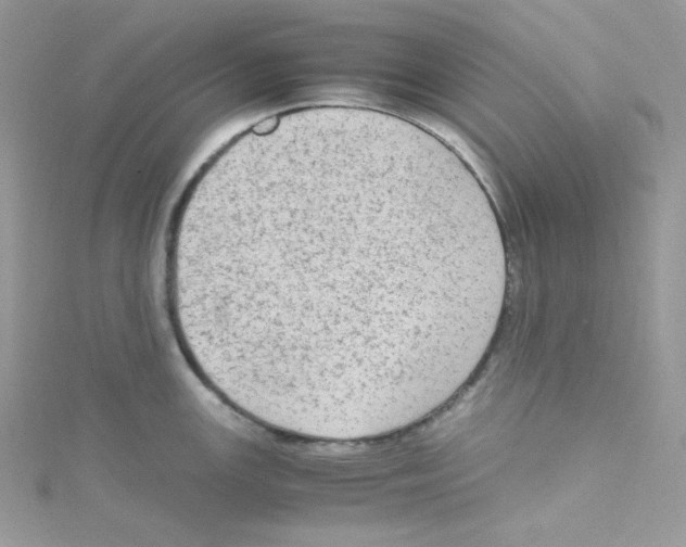 X0000114661147200911171105