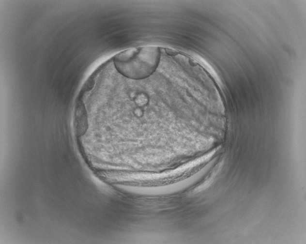 X0000114661149200911171105