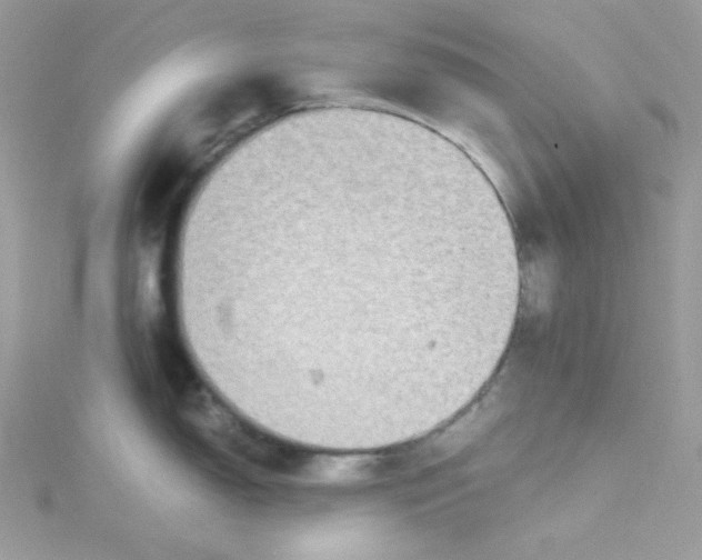 X0000114661150200911171105