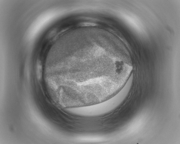 X0000114661151200911171105