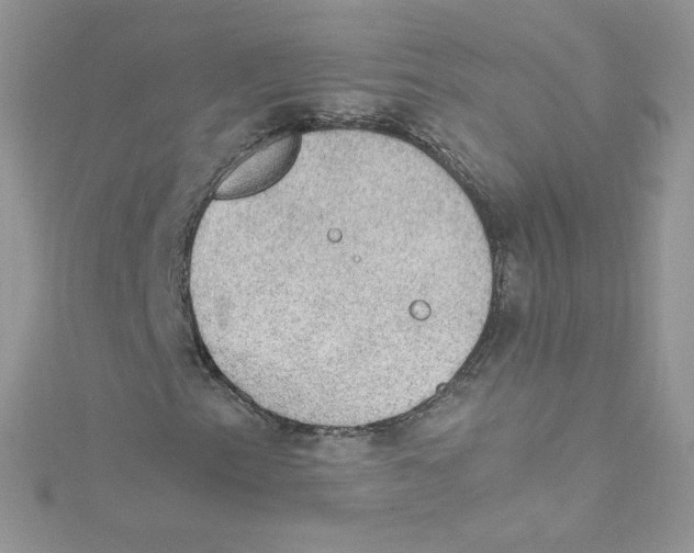 X0000114661153200911171105