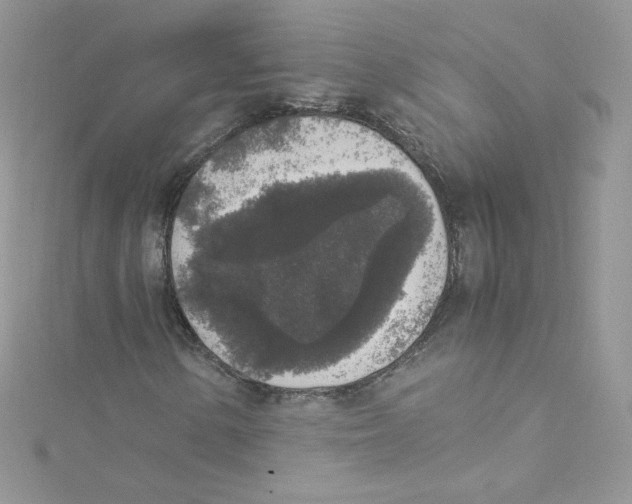 X0000114661154200911171105