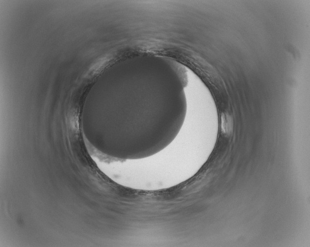 X0000114661155200911171105