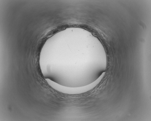 X0000114661157200911171105