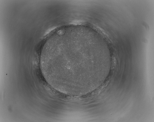 X0000114661158200911171105