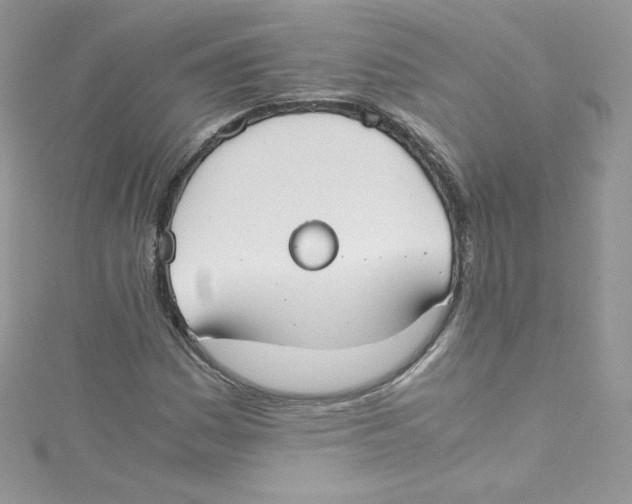 X0000114661161200911171105