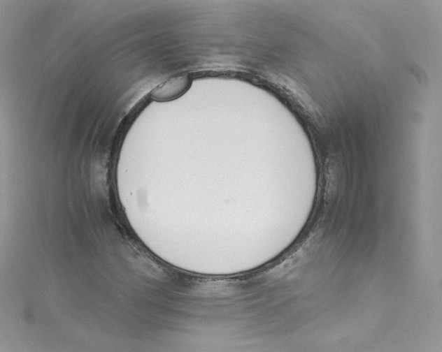 X0000114661162200911171105