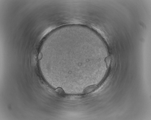 X0000114661163200911171105