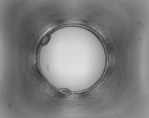 X0000114661165200911171105