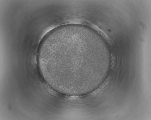 X0000114661166200911171105