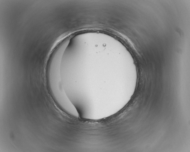 X0000114661168200911171105