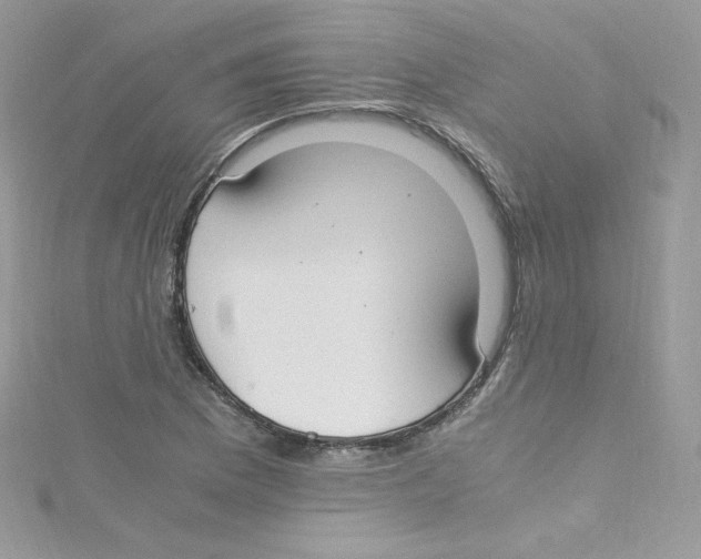 X0000114661169200911171105