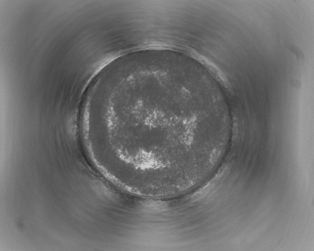 X0000114661170200911171105