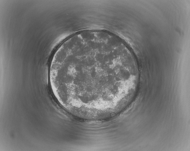 X0000114661171200911171105