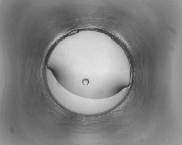 X0000114661173200911171105