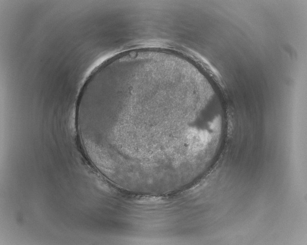 X0000114661174200911171105