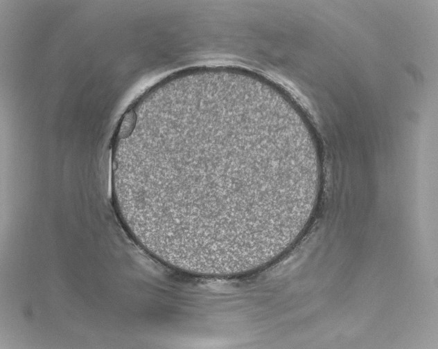 X0000114661175200911171105