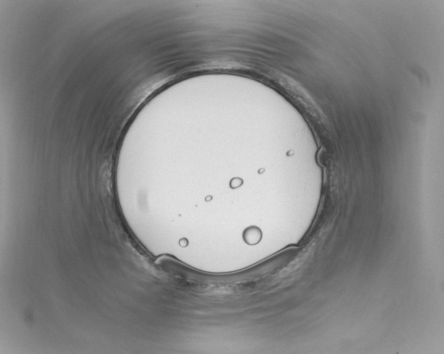 X0000114661177200911171105