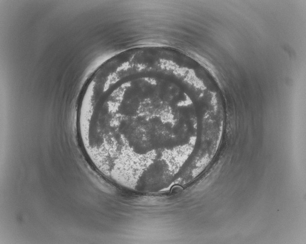 X0000114661179200911171104