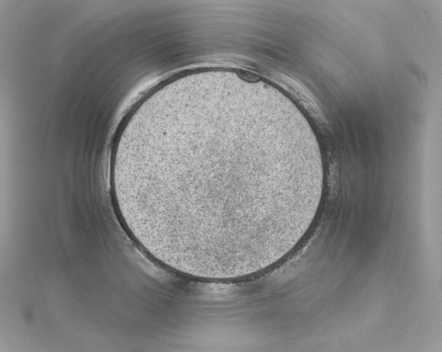 X0000114661180200911171104