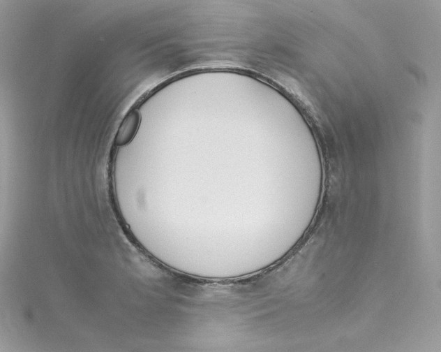 X0000114661181200911171104