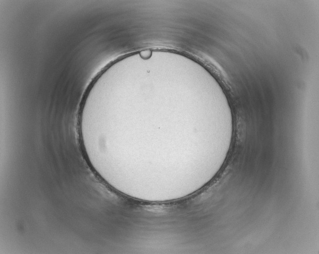 X0000114661182200911171104