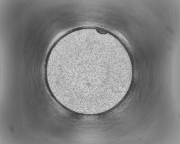 X0000114661183200911171104